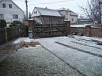 Třibřichy